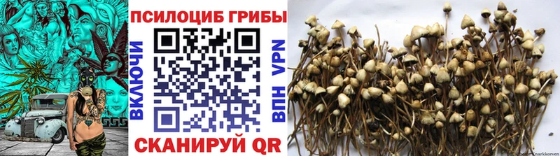 Псилоцибиновые грибы MAGIC MUSHROOMS Нестеровская